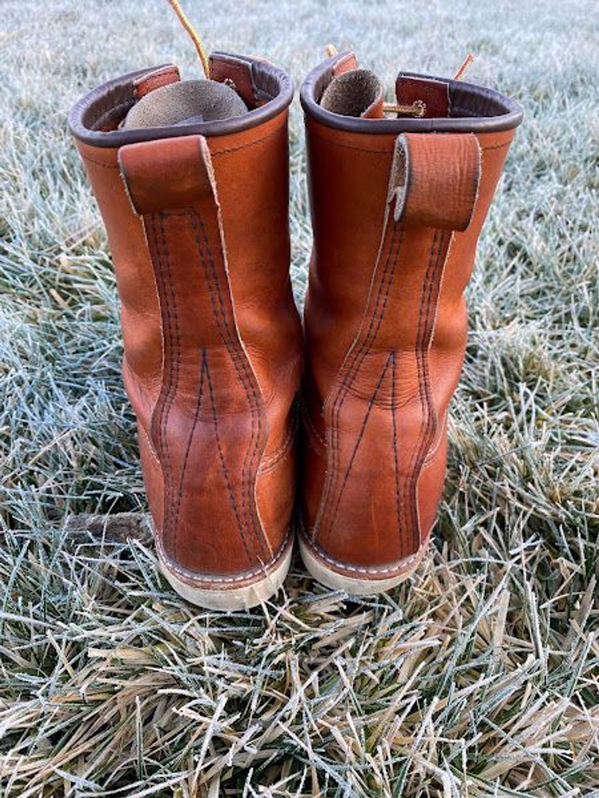 Photo by patinathunderdome on January 6, 2022 of the Red Wing 8-Inch Classic Moc in S.B. Foot Oro-Iginal.