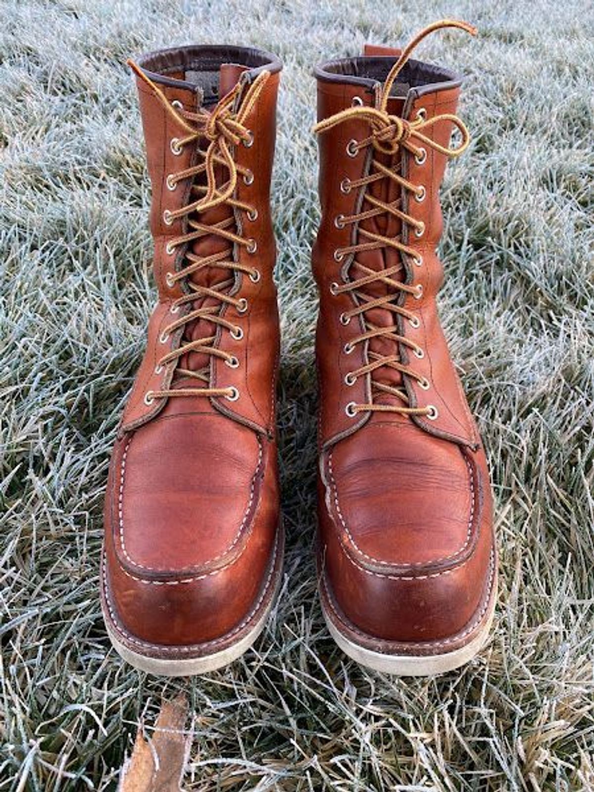 Photo by patinathunderdome on January 6, 2022 of the Red Wing 8-Inch Classic Moc in S.B. Foot Oro-Iginal.