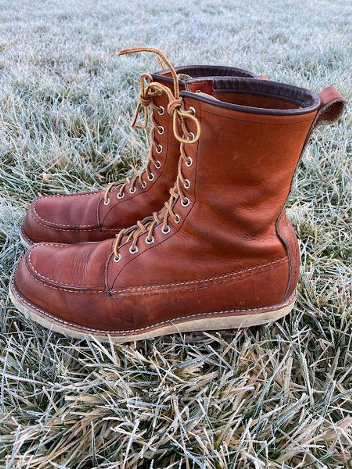 Photo by patinathunderdome on January 6, 2022 of the Red Wing 8-Inch Classic Moc in S.B. Foot Oro-Iginal.