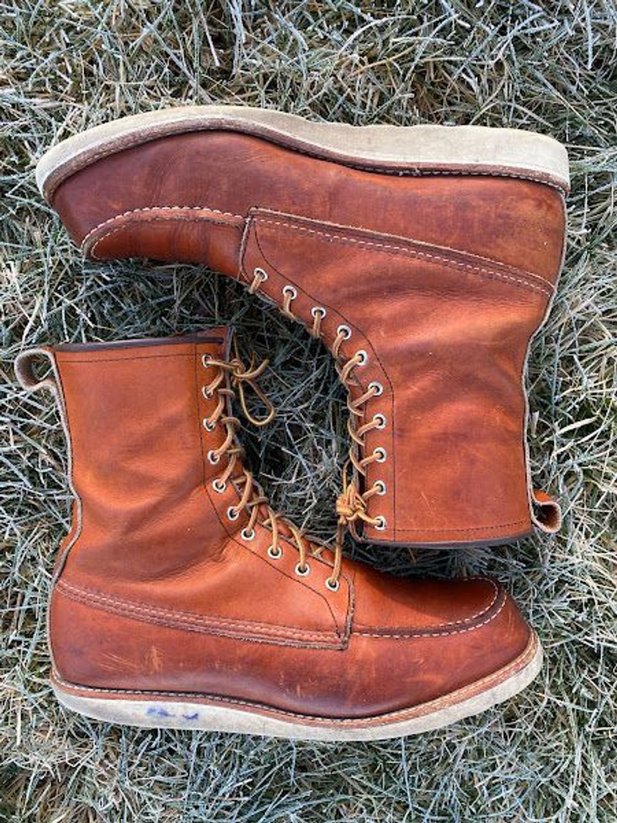 Photo by patinathunderdome on January 6, 2022 of the Red Wing 8-Inch Classic Moc in S.B. Foot Oro-Iginal.