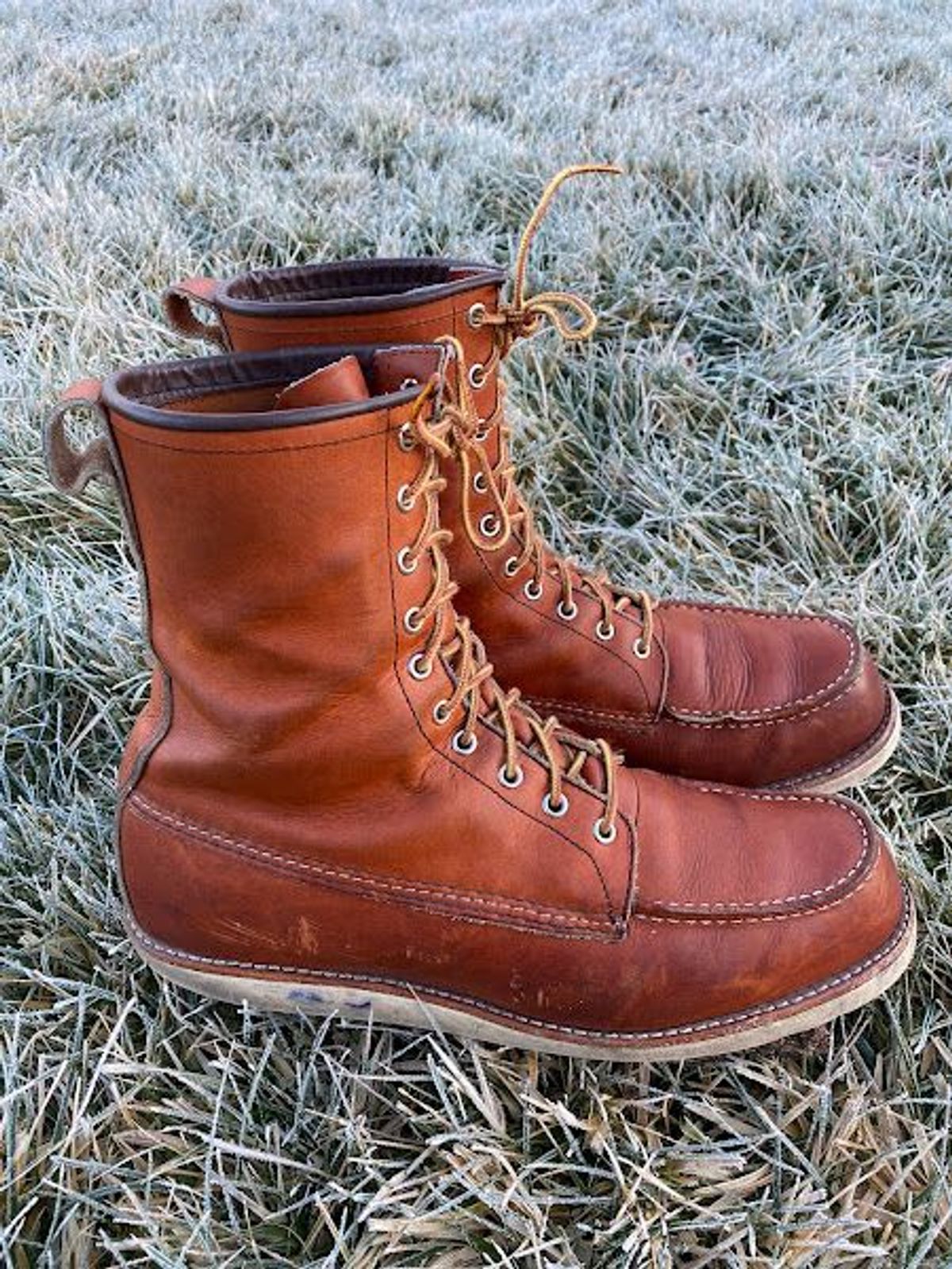 Photo by patinathunderdome on January 6, 2022 of the Red Wing 8-Inch Classic Moc in S.B. Foot Oro-Iginal.