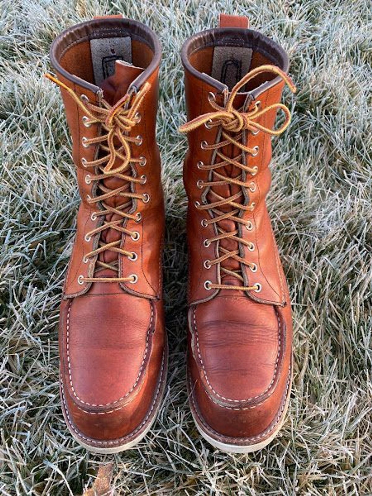 Photo by patinathunderdome on January 6, 2022 of the Red Wing 8-Inch Classic Moc in S.B. Foot Oro-Iginal.