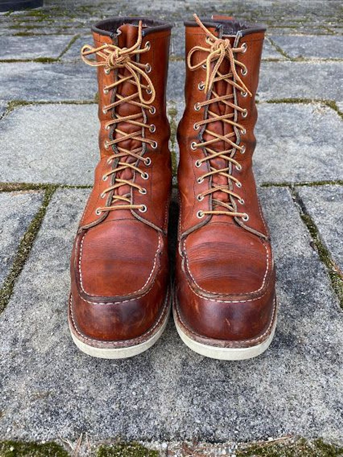 Photo by patinathunderdome on March 5, 2022 of the Red Wing 8-Inch Classic Moc in S.B. Foot Oro-Iginal.