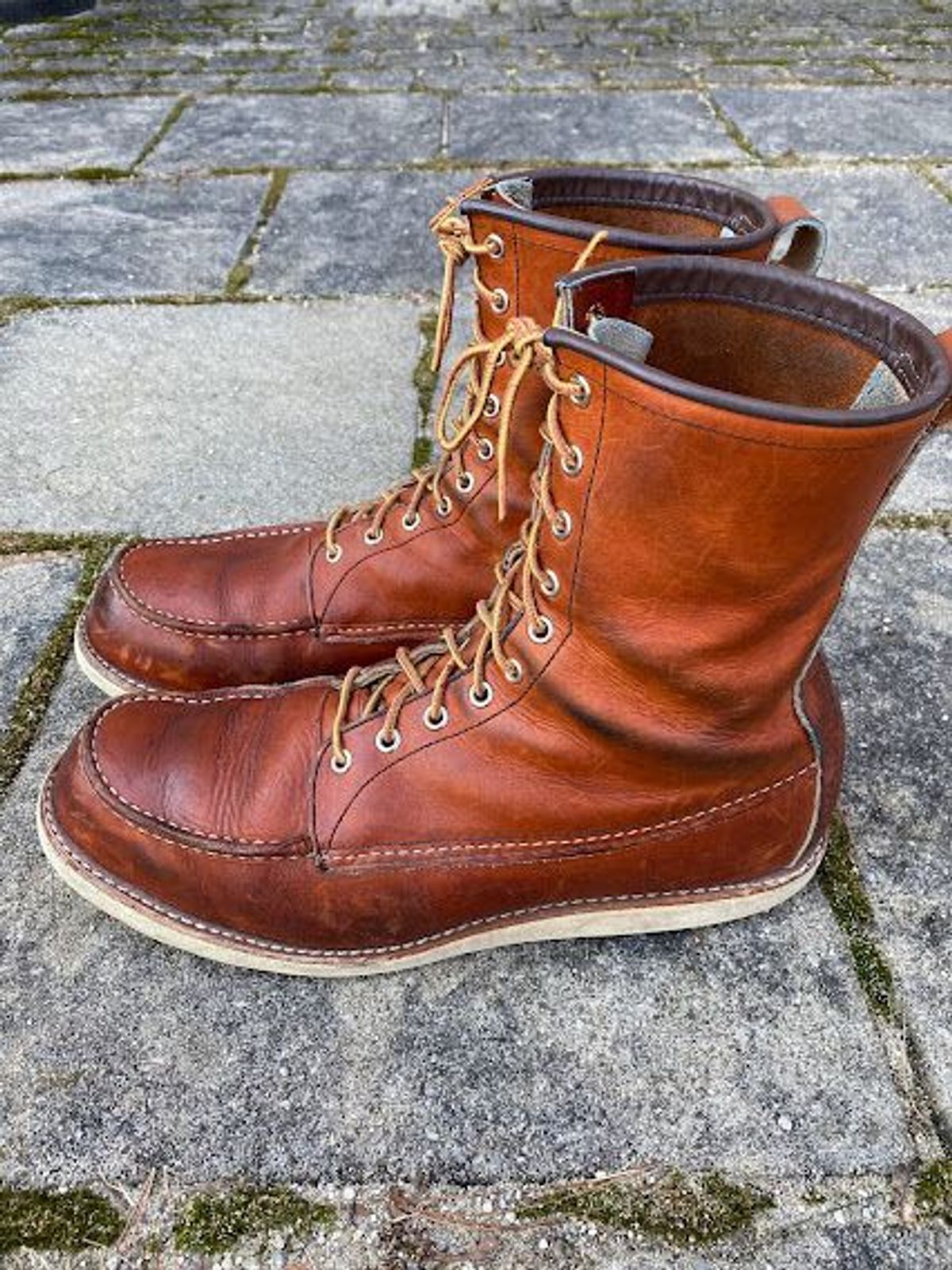 Photo by patinathunderdome on March 5, 2022 of the Red Wing 8-Inch Classic Moc in S.B. Foot Oro-Iginal.