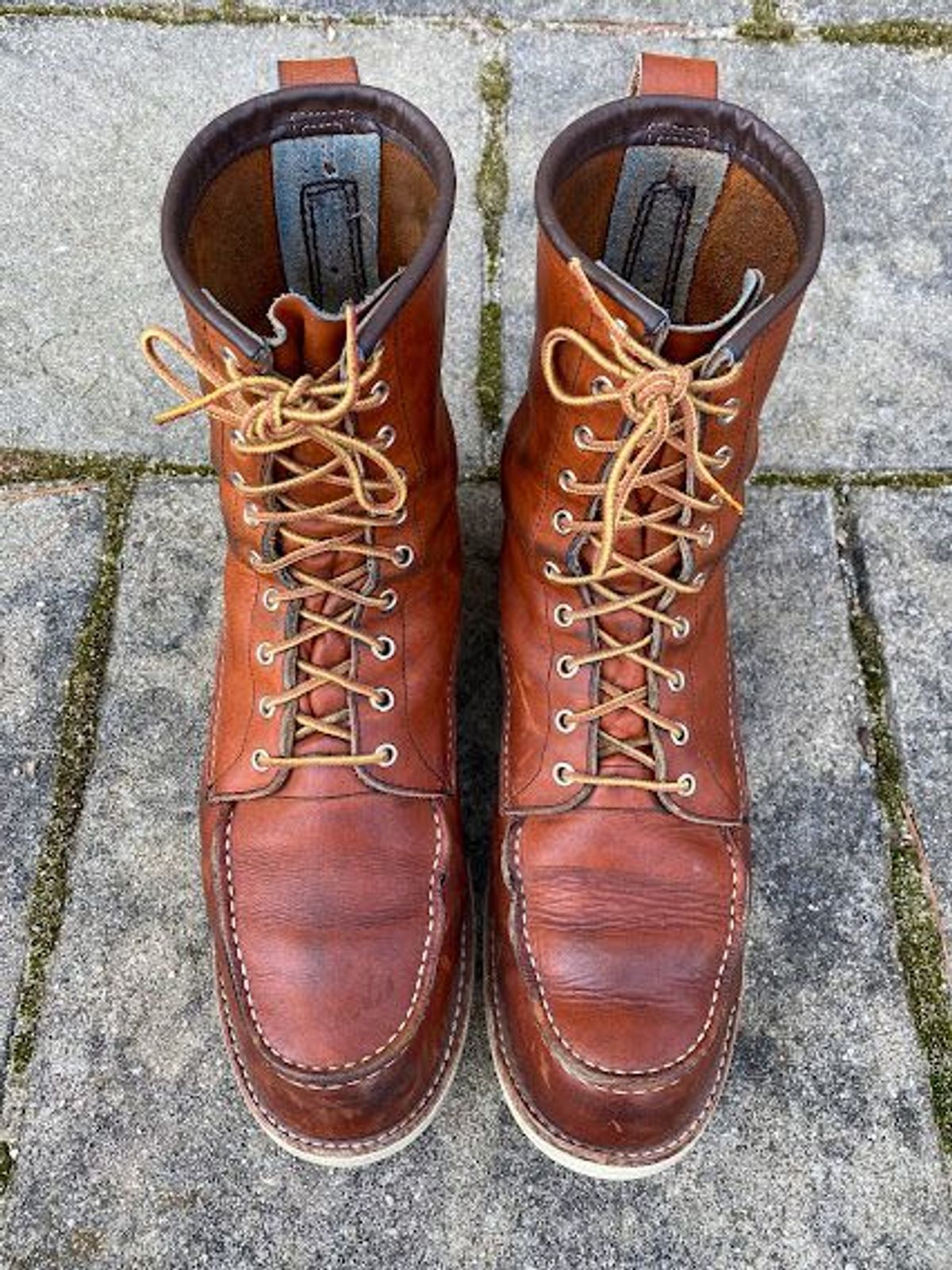 Photo by patinathunderdome on March 5, 2022 of the Red Wing 8-Inch Classic Moc in S.B. Foot Oro-Iginal.