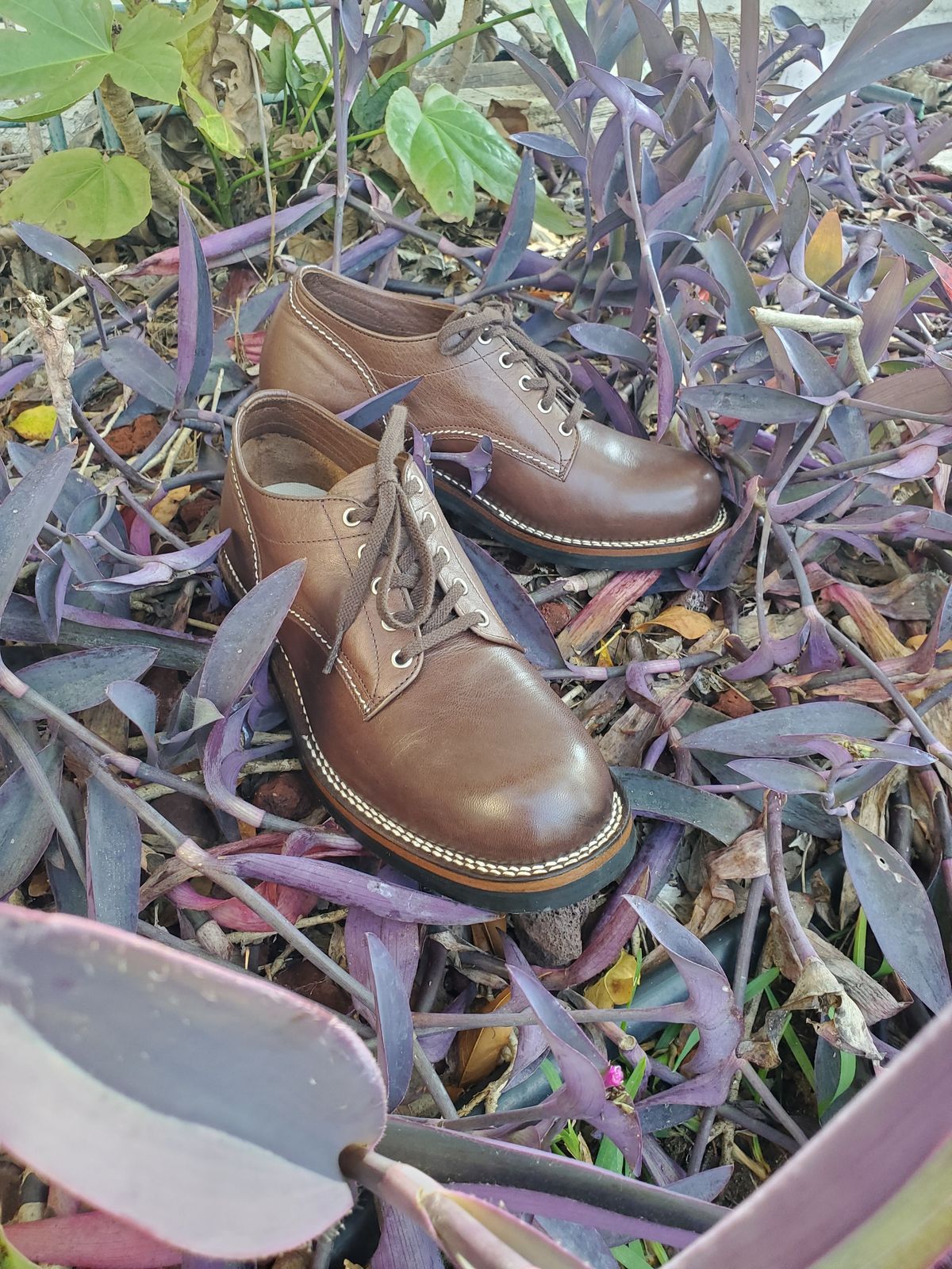 Photo by patinathunderdome on September 30, 2021 of the The Flat Head Oxford Shoe in Brown Teacore Horsebutt.