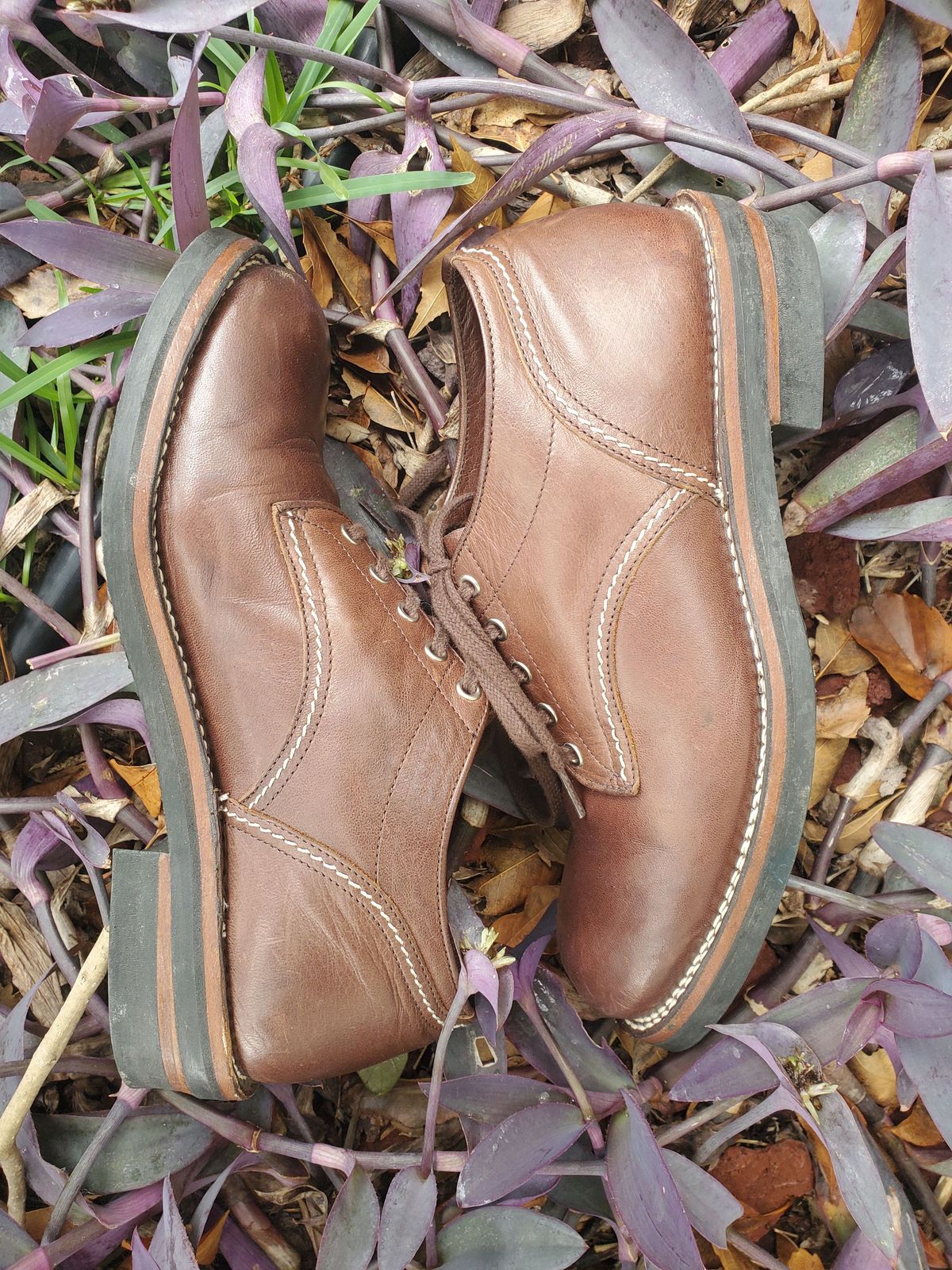 Photo by patinathunderdome on November 4, 2021 of the The Flat Head Oxford Shoe in Brown Teacore Horsebutt.