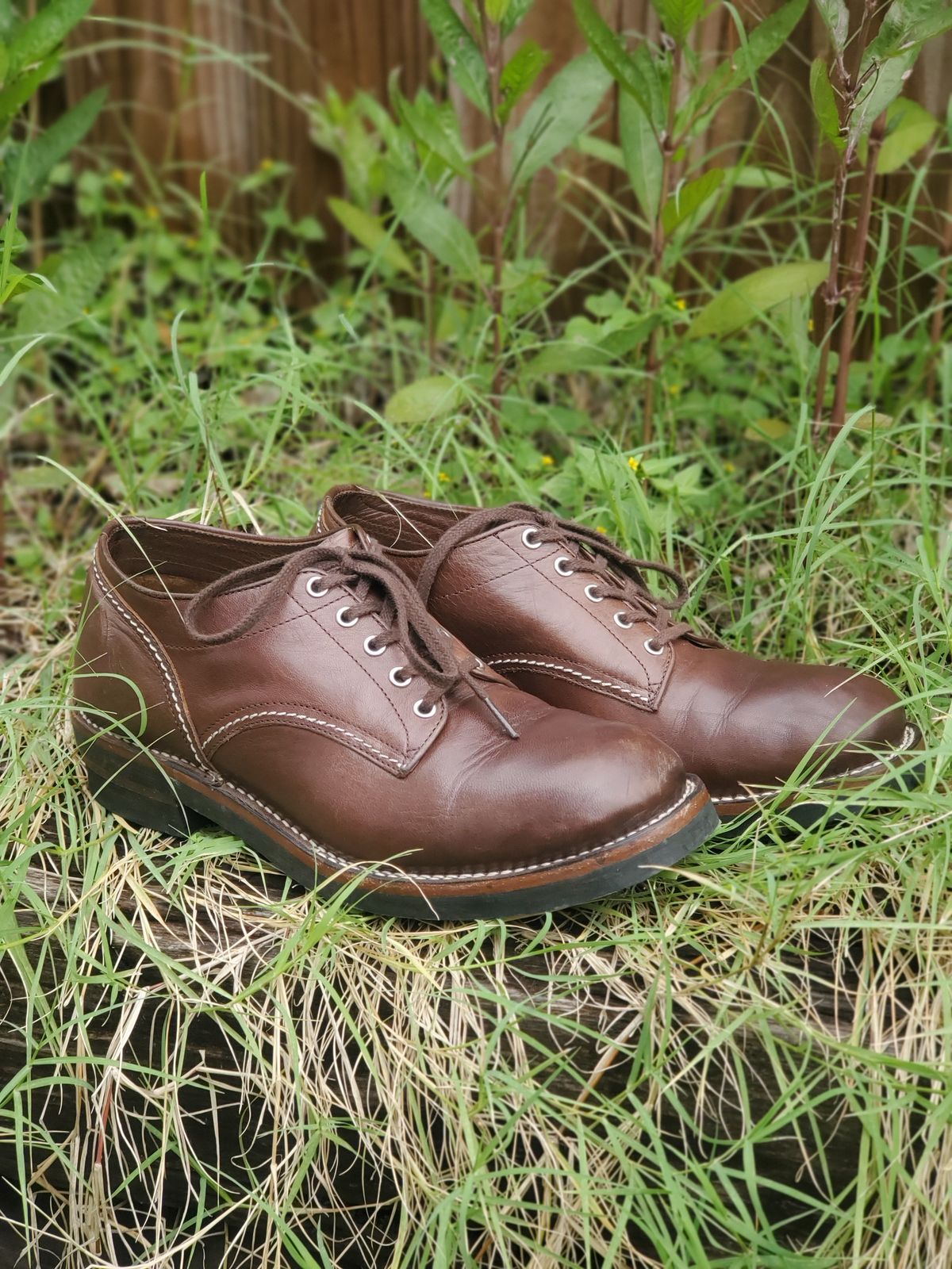 Photo by patinathunderdome on November 4, 2021 of the The Flat Head Oxford Shoe in Brown Teacore Horsebutt.