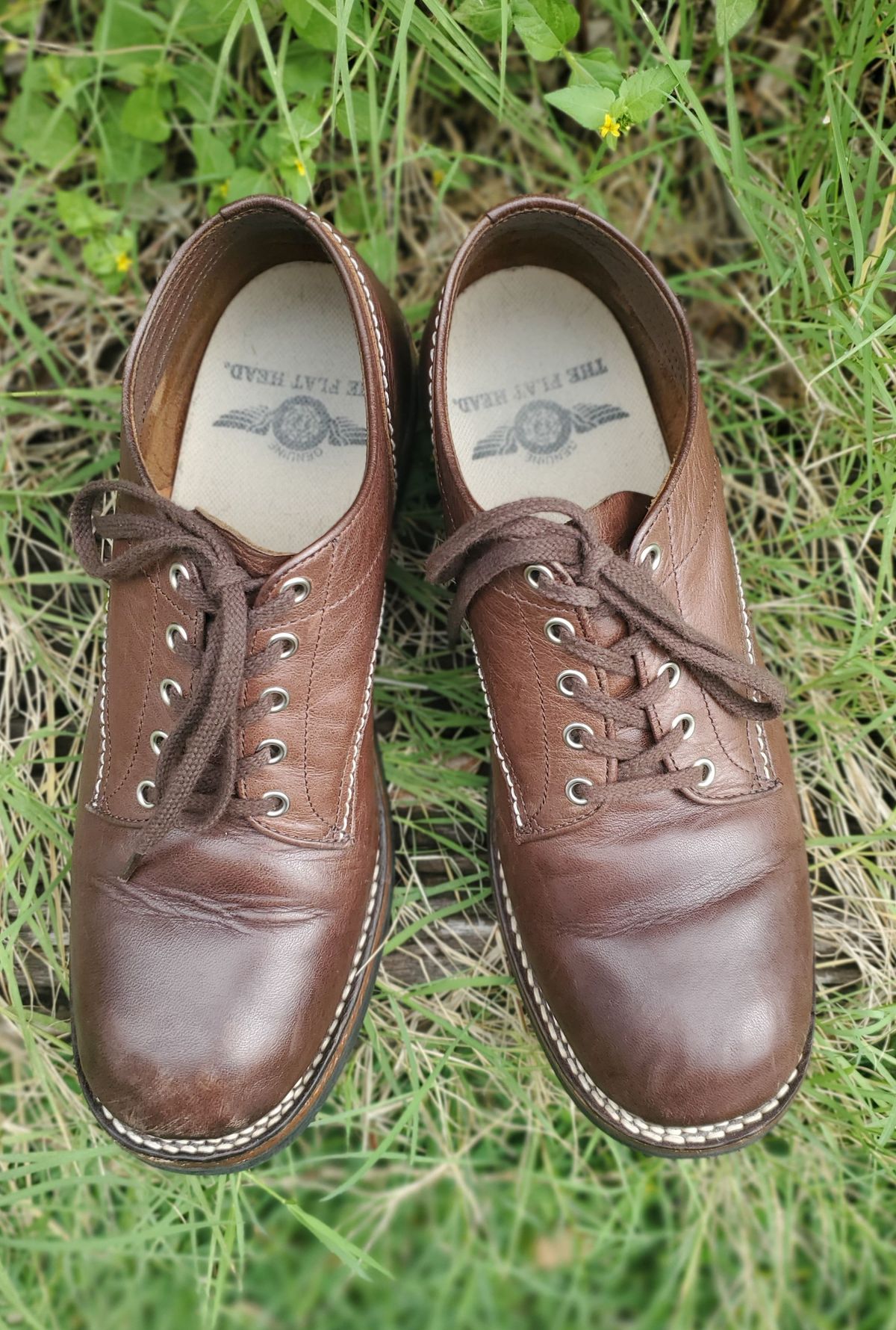 Photo by patinathunderdome on November 4, 2021 of the The Flat Head Oxford Shoe in Brown Teacore Horsebutt.