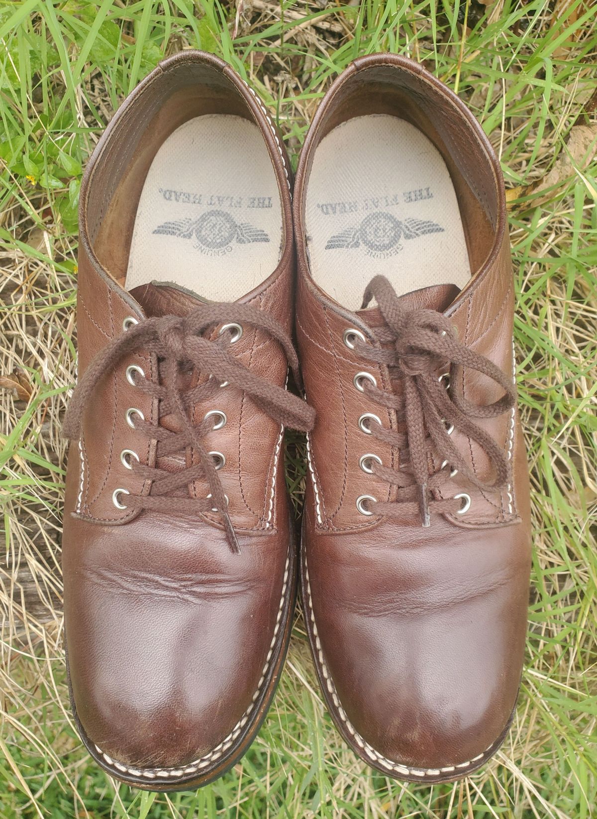 Photo by patinathunderdome on December 5, 2021 of the The Flat Head Oxford Shoe in Brown Teacore Horsebutt.