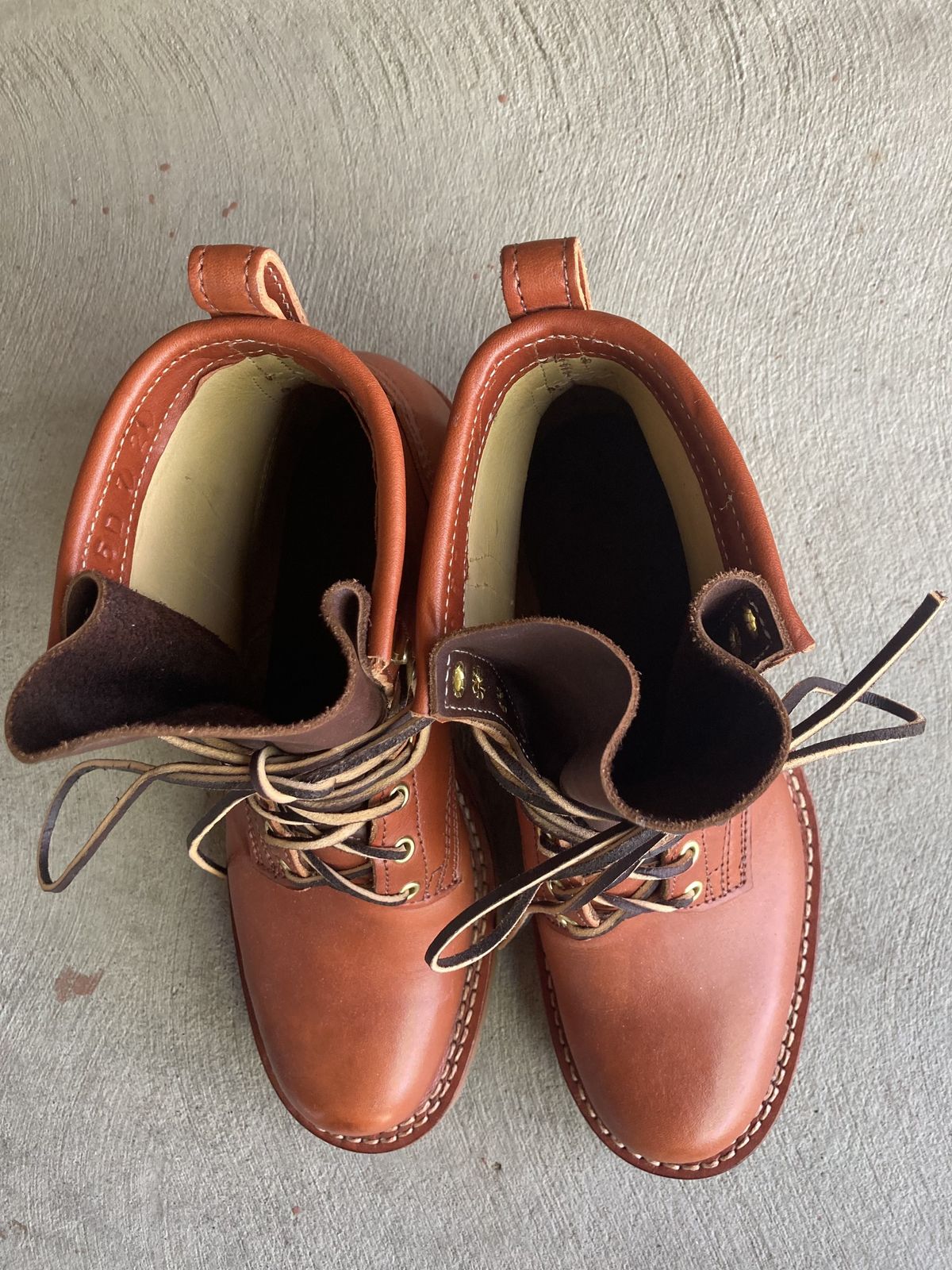 Photo by patinathunderdome on September 30, 2021 of the Frank's Boots Wilshire in Wickett & Craig Chestnut English Bridle.