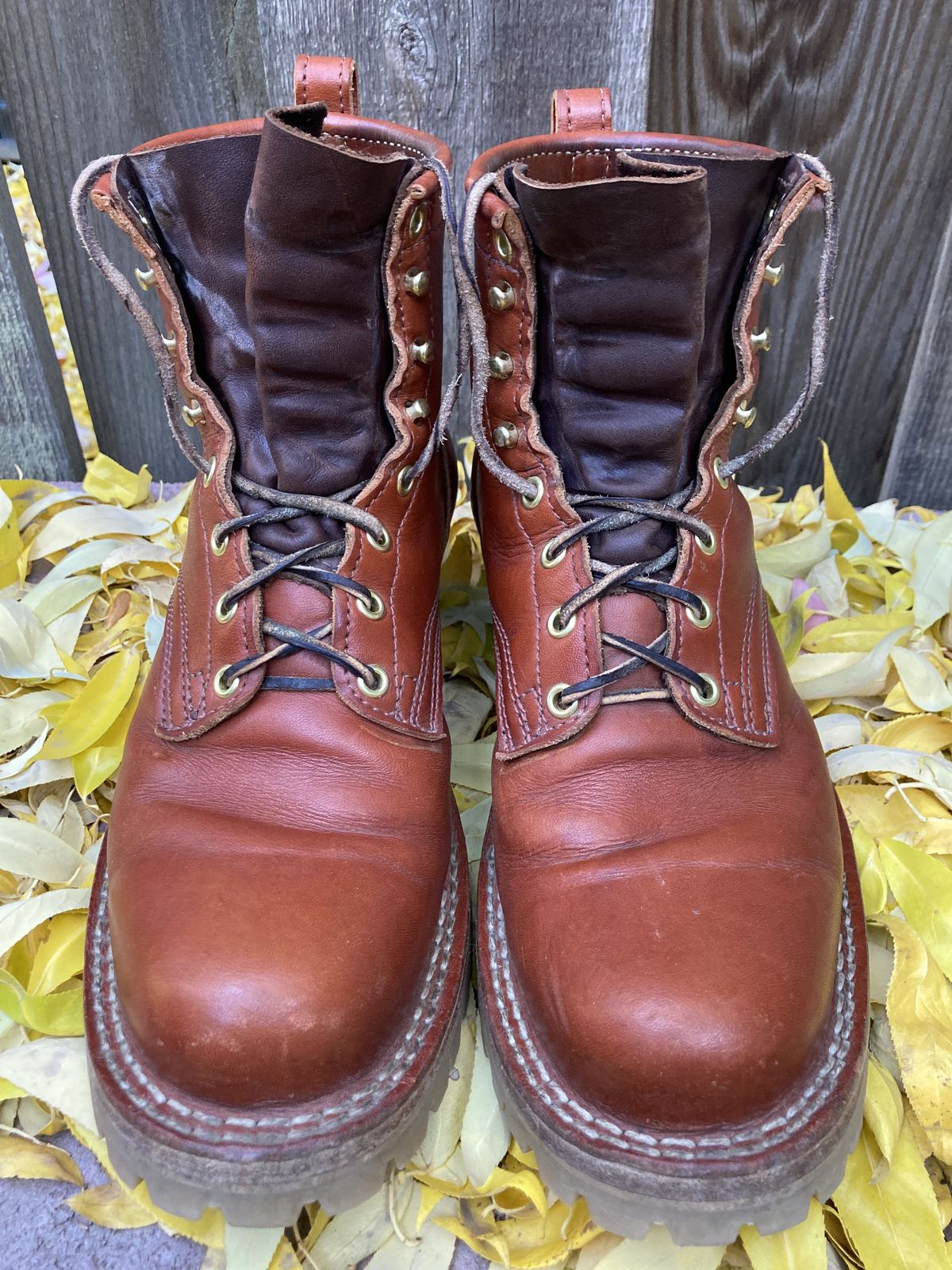 Photo by patinathunderdome on November 1, 2021 of the Frank's Boots Wilshire in Wickett & Craig Chestnut English Bridle.