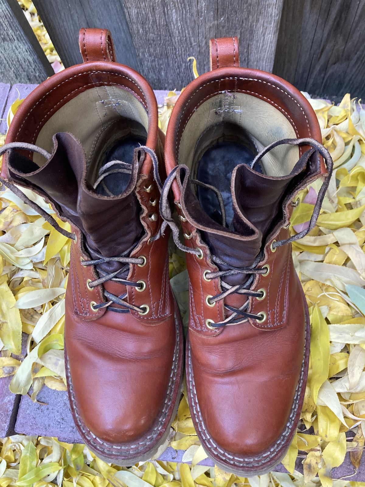 Photo by patinathunderdome on November 1, 2021 of the Frank's Boots Wilshire in Wickett & Craig Chestnut English Bridle.