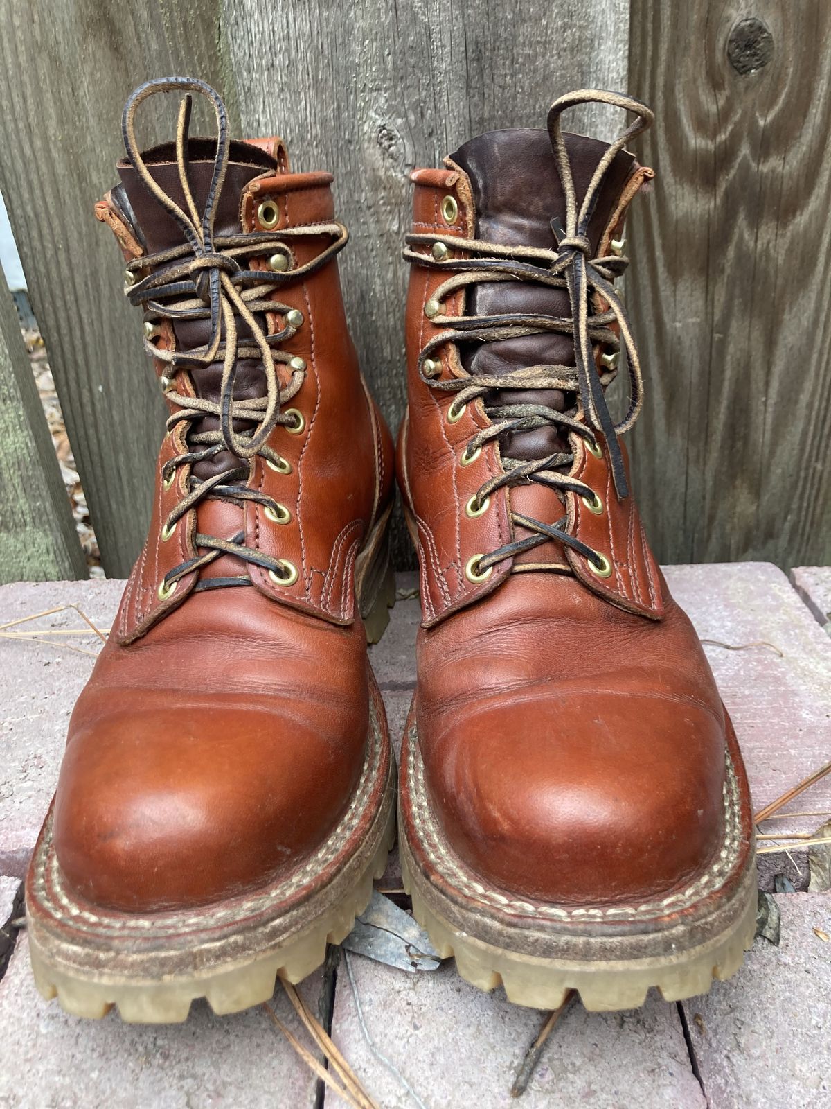 Photo by patinathunderdome on December 1, 2021 of the Frank's Boots Wilshire in Wickett & Craig Chestnut English Bridle.