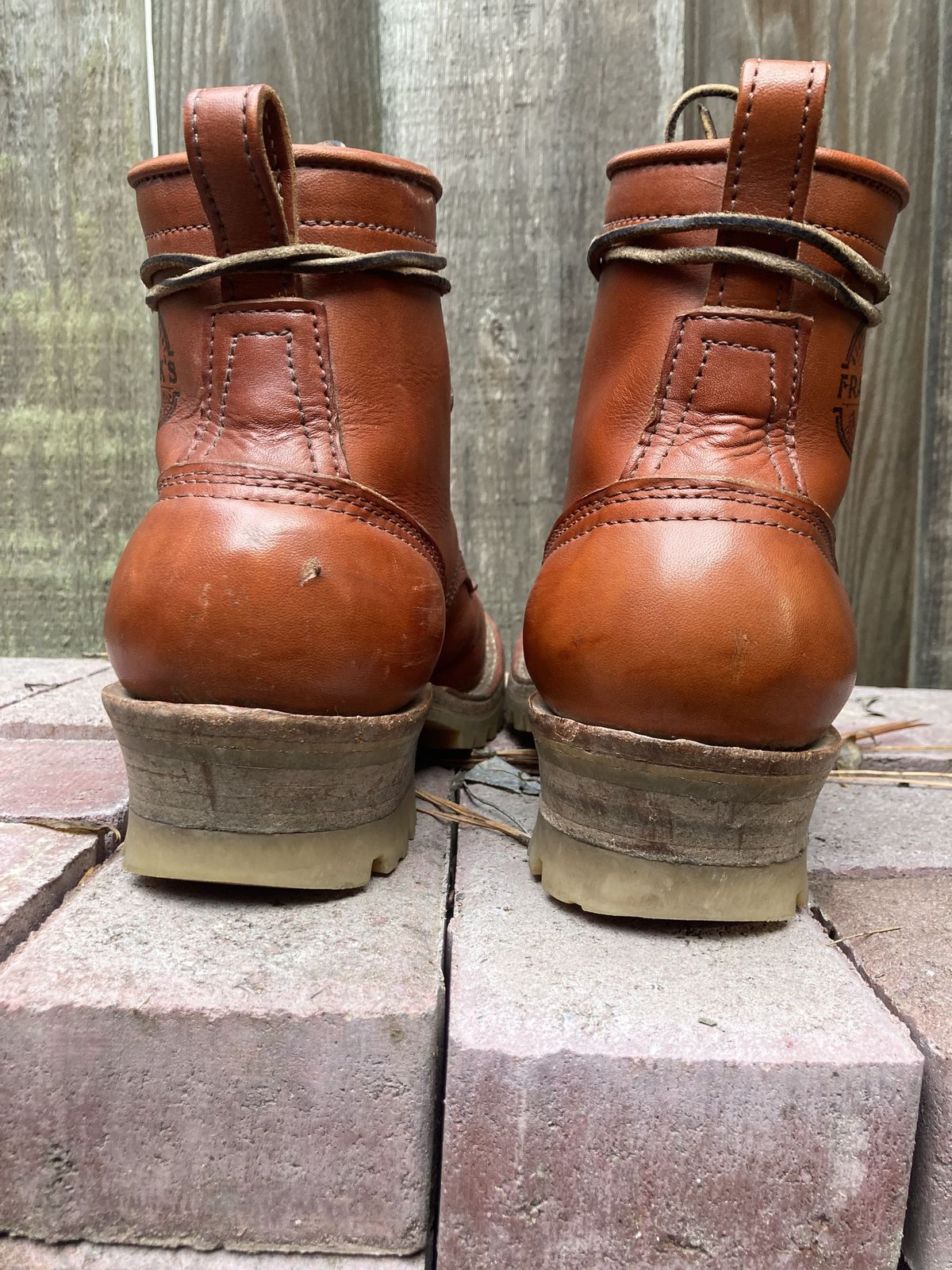 Photo by patinathunderdome on December 1, 2021 of the Frank's Boots Wilshire in Wickett & Craig Chestnut English Bridle.