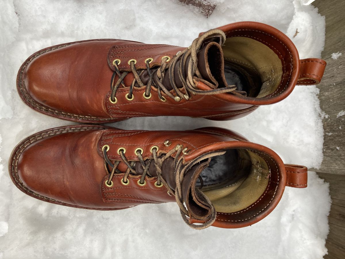 Photo by patinathunderdome on January 1, 2022 of the Frank's Boots Wilshire in Wickett & Craig Chestnut English Bridle.