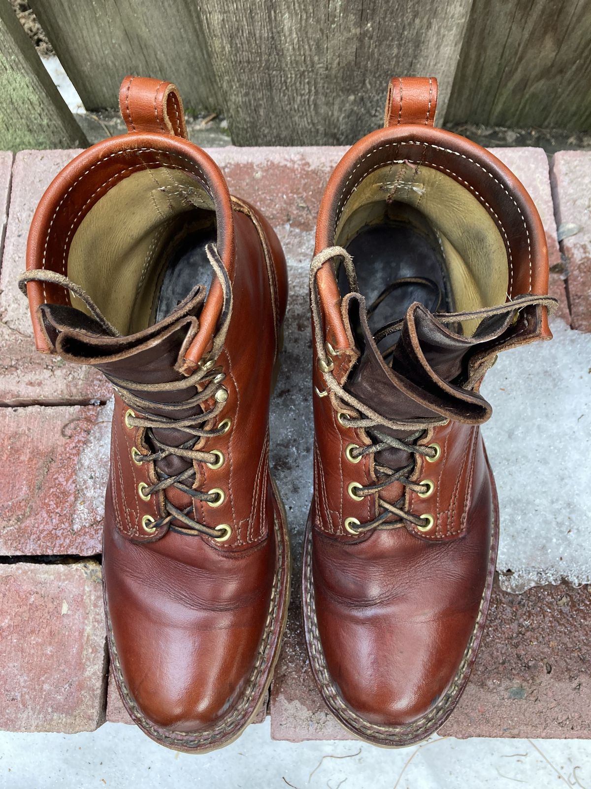 Photo by patinathunderdome on February 1, 2022 of the Frank's Boots Wilshire in Wickett & Craig Chestnut English Bridle.