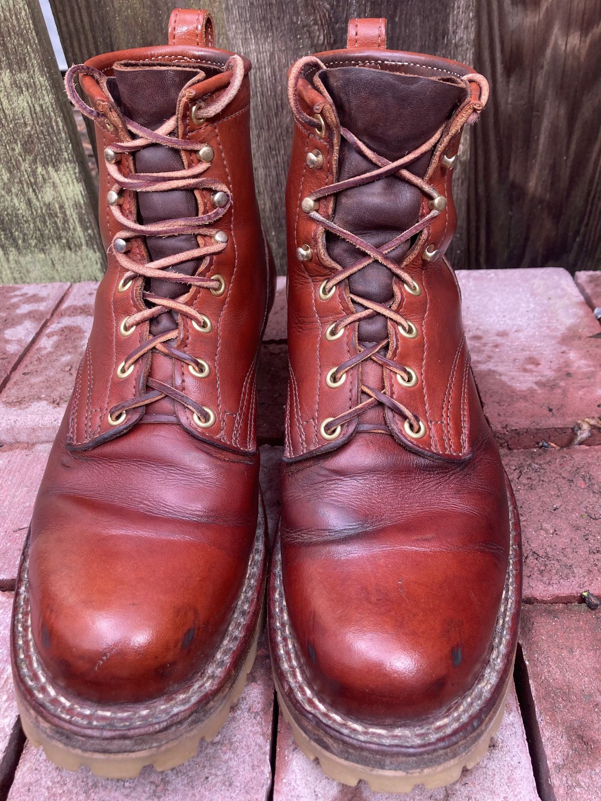 Photo by patinathunderdome on March 1, 2022 of the Frank's Boots Wilshire in Wickett & Craig Chestnut English Bridle.