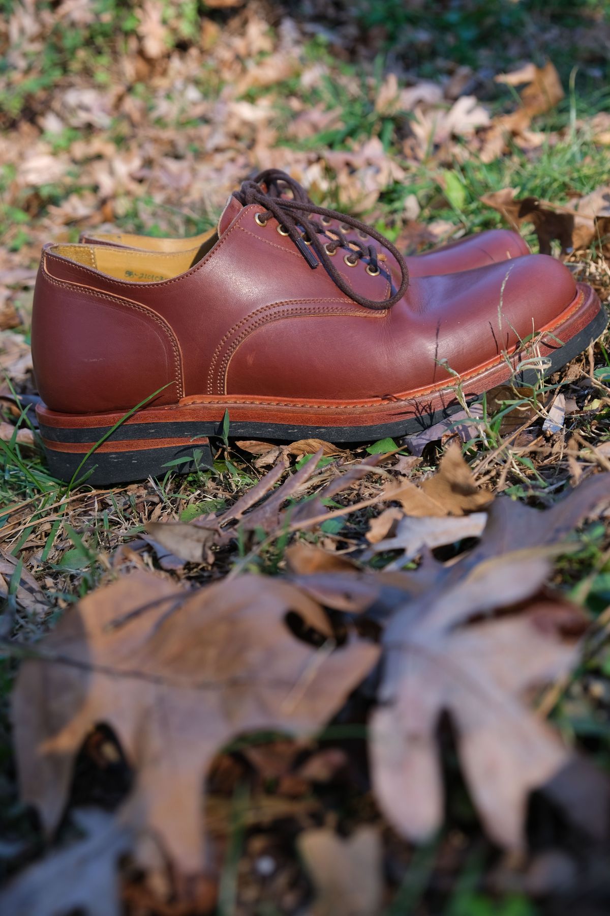 Photo by patinathunderdome on December 2, 2021 of the Sagara x Stitchdown Bandung Derby in Conceria Cloe Mahogany Horsebutt.