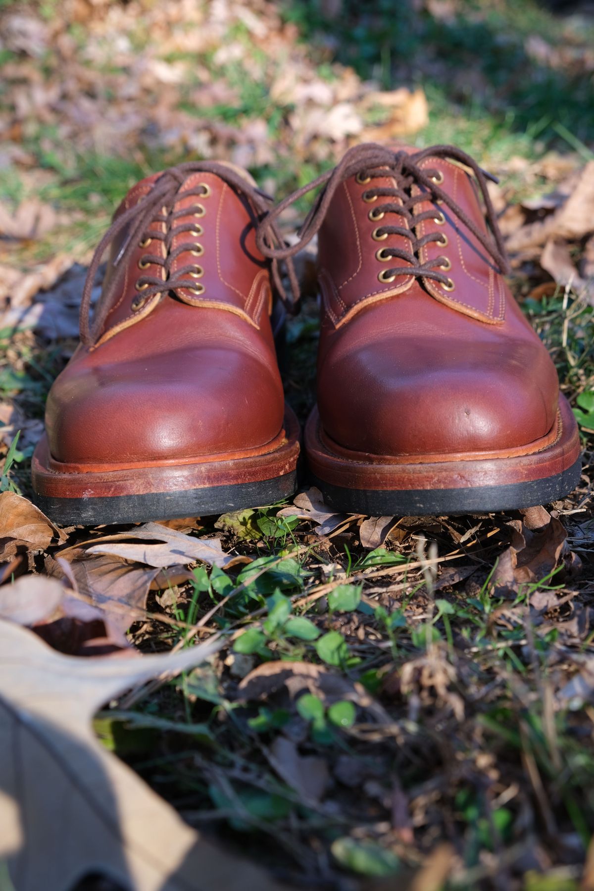 Photo by patinathunderdome on December 2, 2021 of the Sagara x Stitchdown Bandung Derby in Conceria Cloe Mahogany Horsebutt.