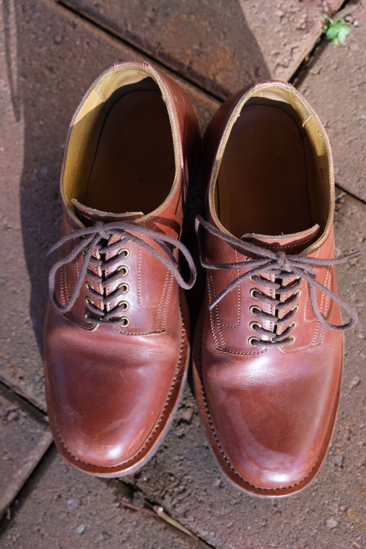 Photo by patinathunderdome on January 4, 2022 of the Sagara x Stitchdown Bandung Derby in Conceria Cloe Mahogany Horsebutt.