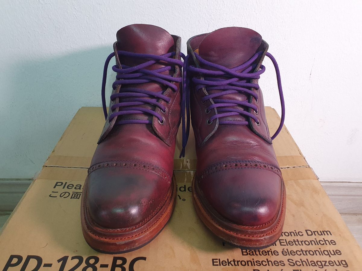 Photo by patinathunderdome on November 4, 2021 of the Tahura Captoelari in Indonesian Purple Javan Pull Up.