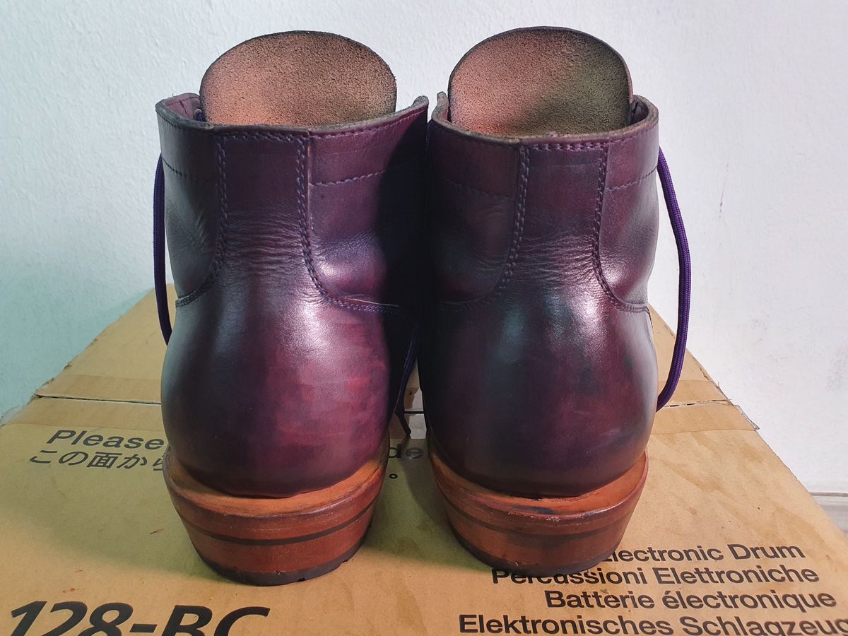 Photo by patinathunderdome on November 4, 2021 of the Tahura Captoelari in Indonesian Purple Javan Pull Up.