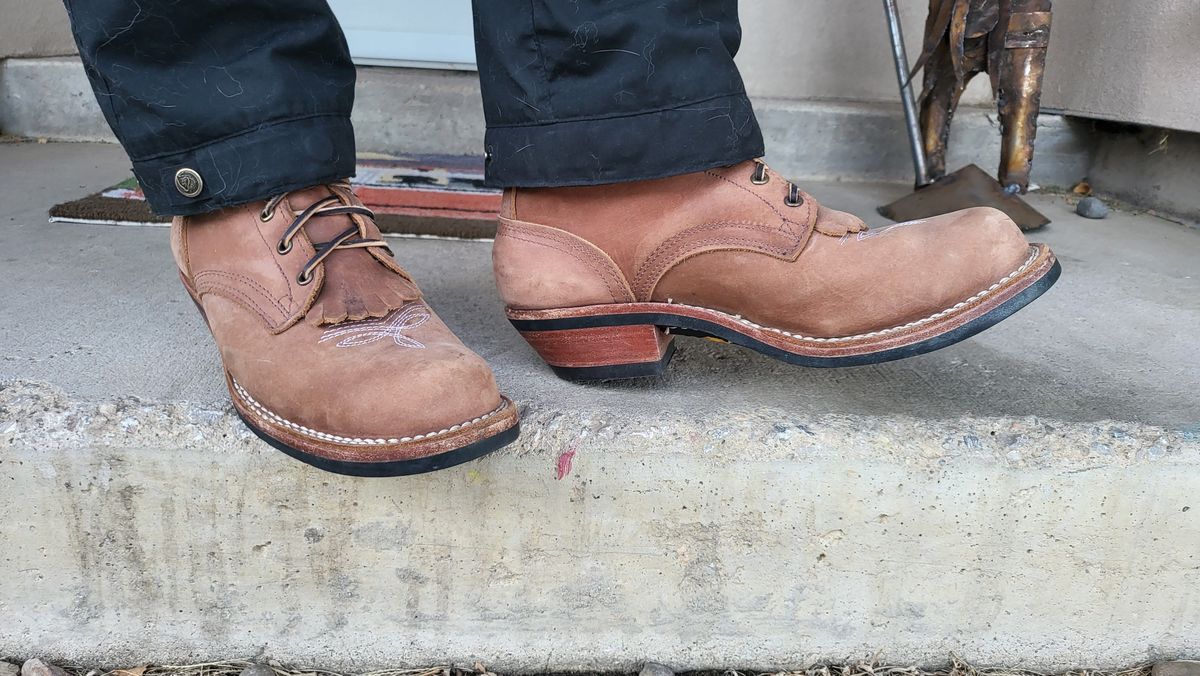 Photo by patinathunderdome on February 5, 2022 of the Nicks Packer in Horween Brown Rapids.