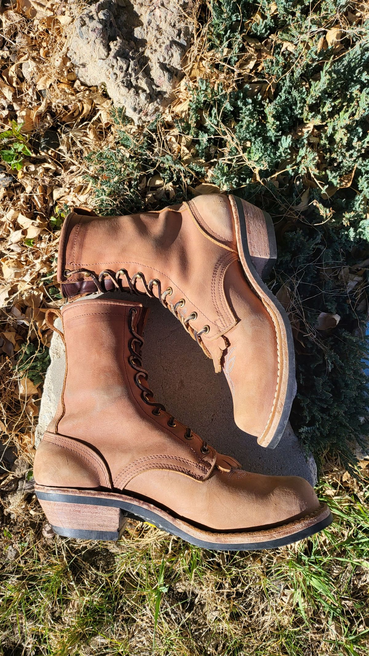 Photo by patinathunderdome on April 5, 2022 of the Nicks Packer in Horween Brown Rapids.