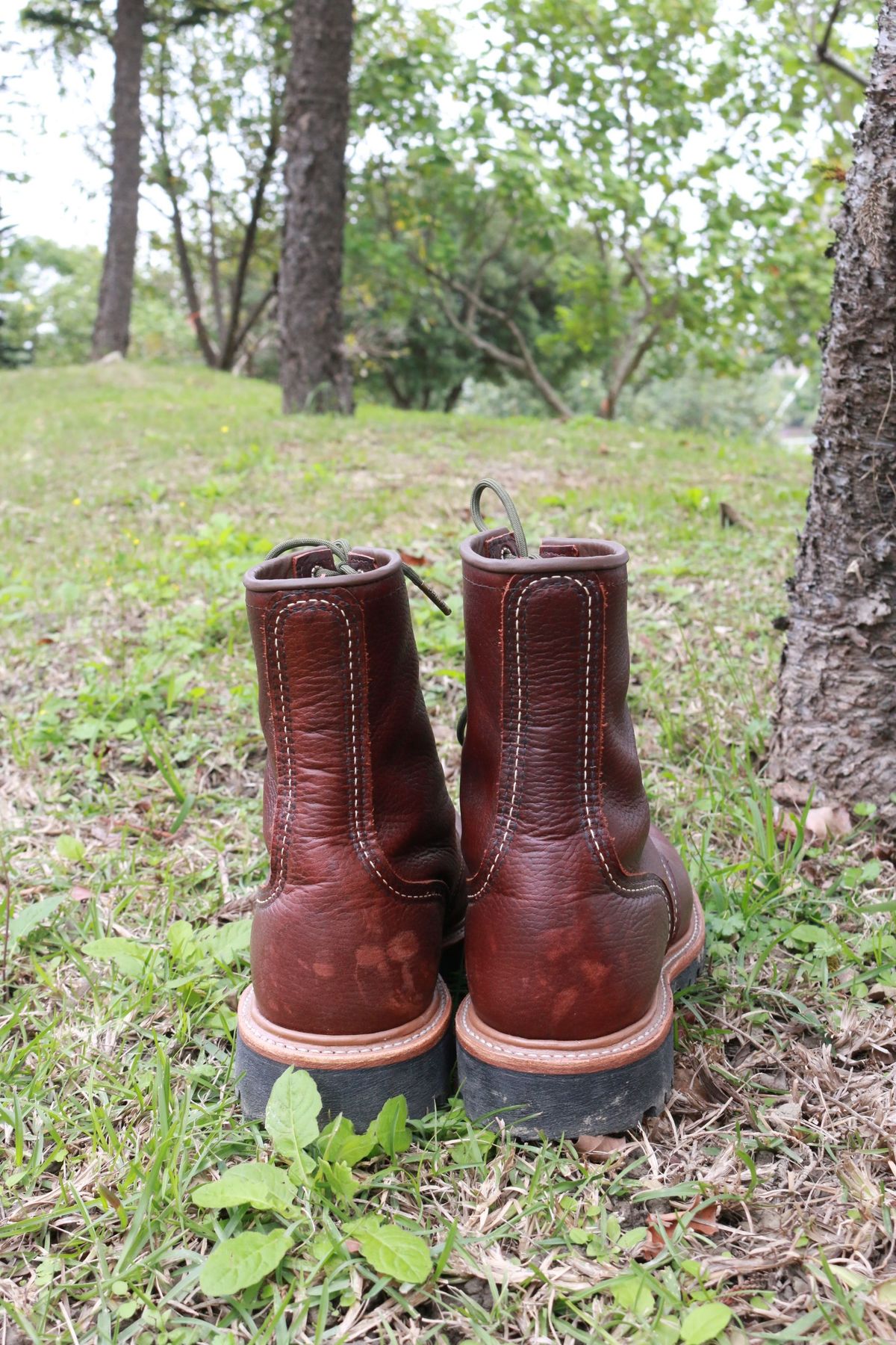 Photo by patinathunderdome on January 4, 2022 of the Red Wing Logger in S.B. Foot Briar Oil Slick.
