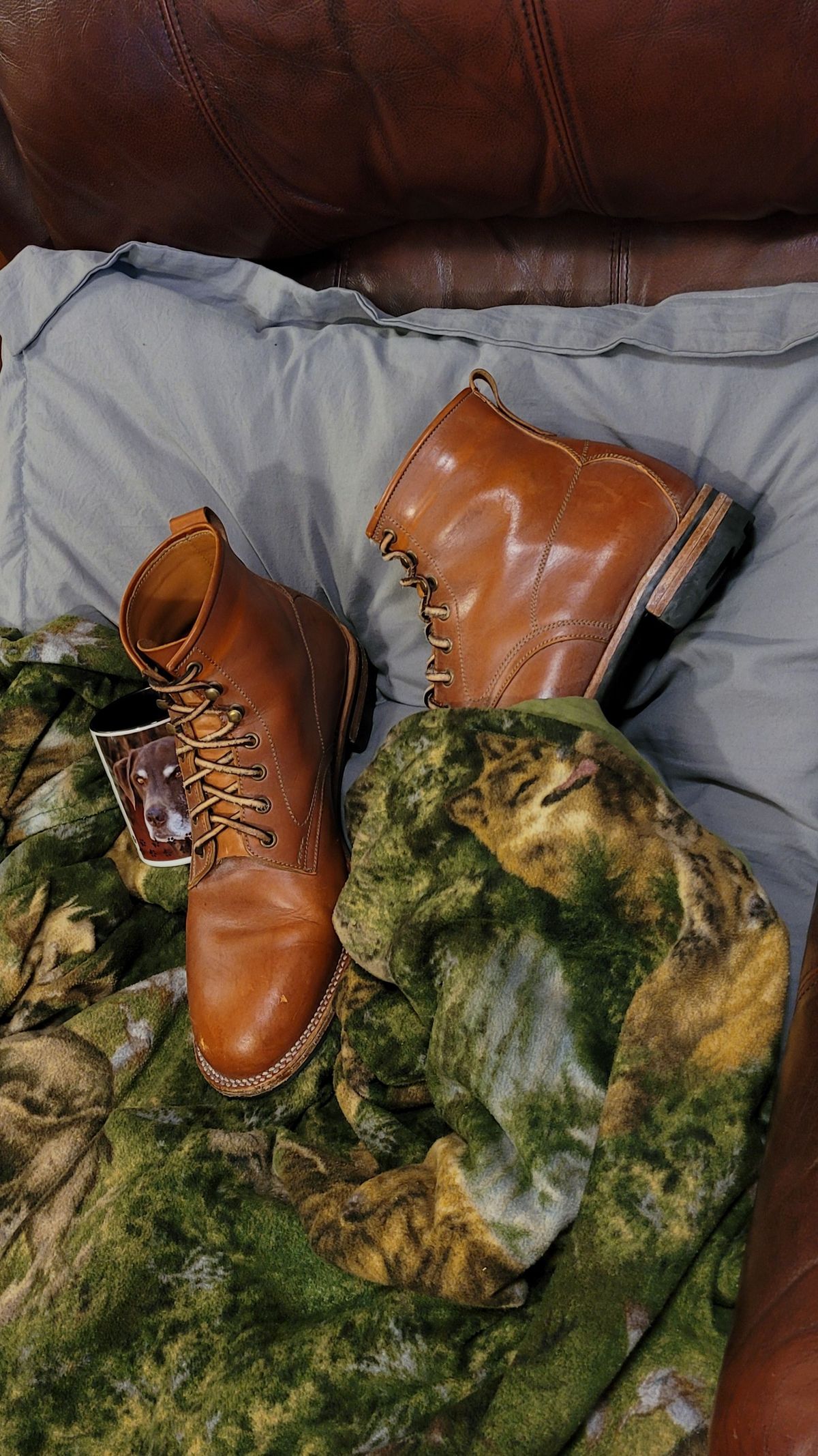 Photo by patinathunderdome on November 3, 2021 of the Midas Spalla Derby Boot in La Bretagna Whiskey Ghost.