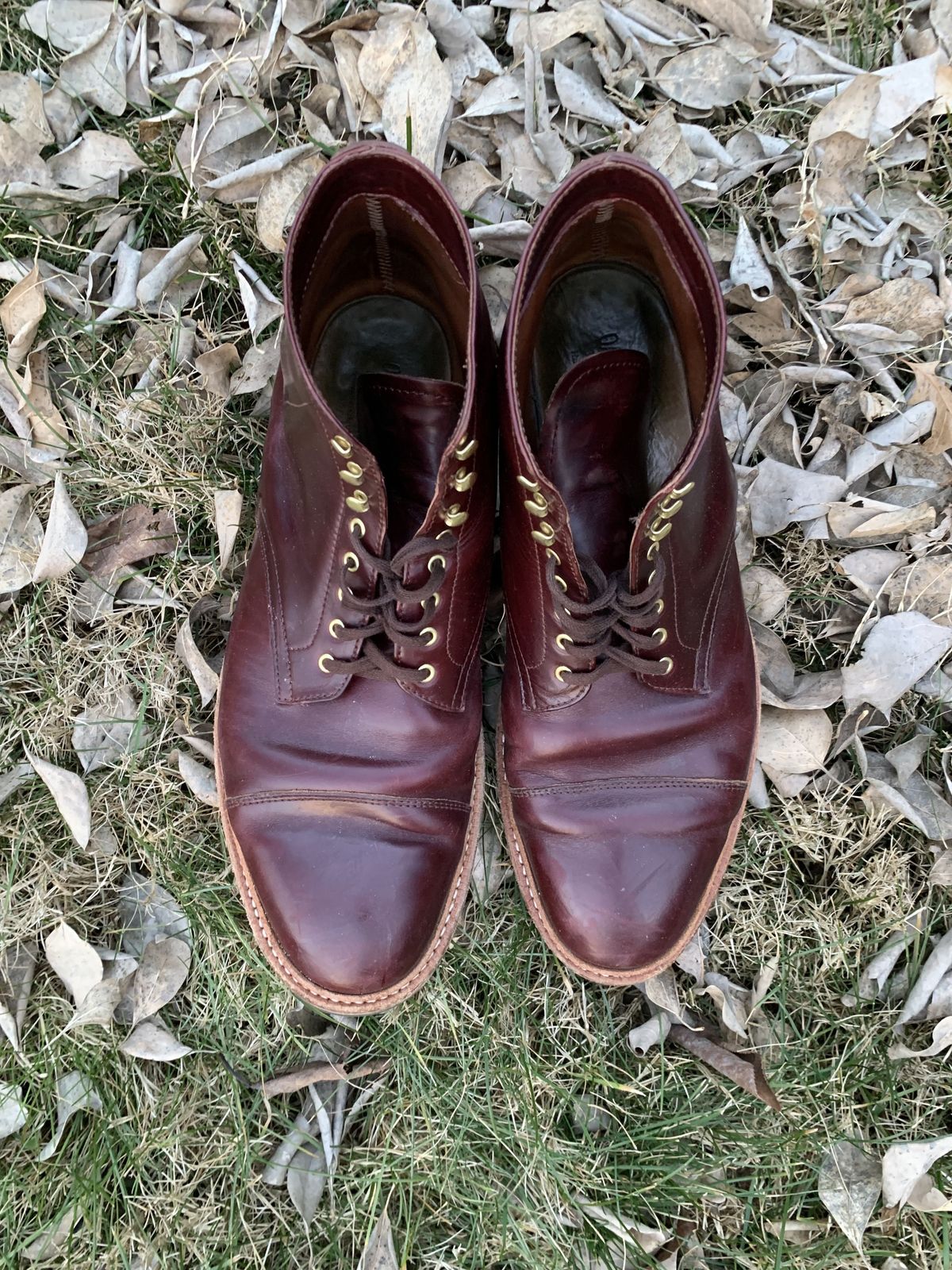 Photo by patinathunderdome on March 6, 2022 of the Oak Street Bootmakers Lakeshore Boot in Horween Color 8 Chromexcel.