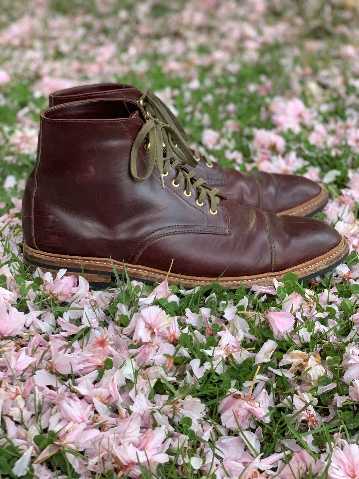 Photo by patinathunderdome on May 5, 2022 of the Oak Street Bootmakers Lakeshore Boot in Horween Color 8 Chromexcel.