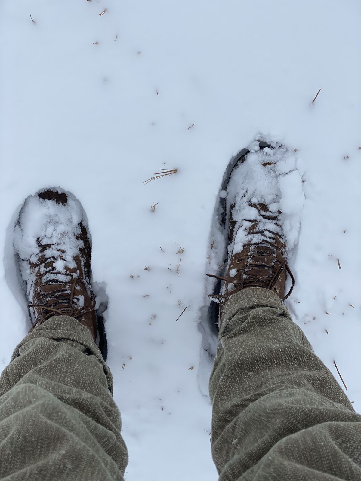 Photo by patinathunderdome on February 3, 2022 of the White's Logger in Horween Cinnamon Waxed Flesh.
