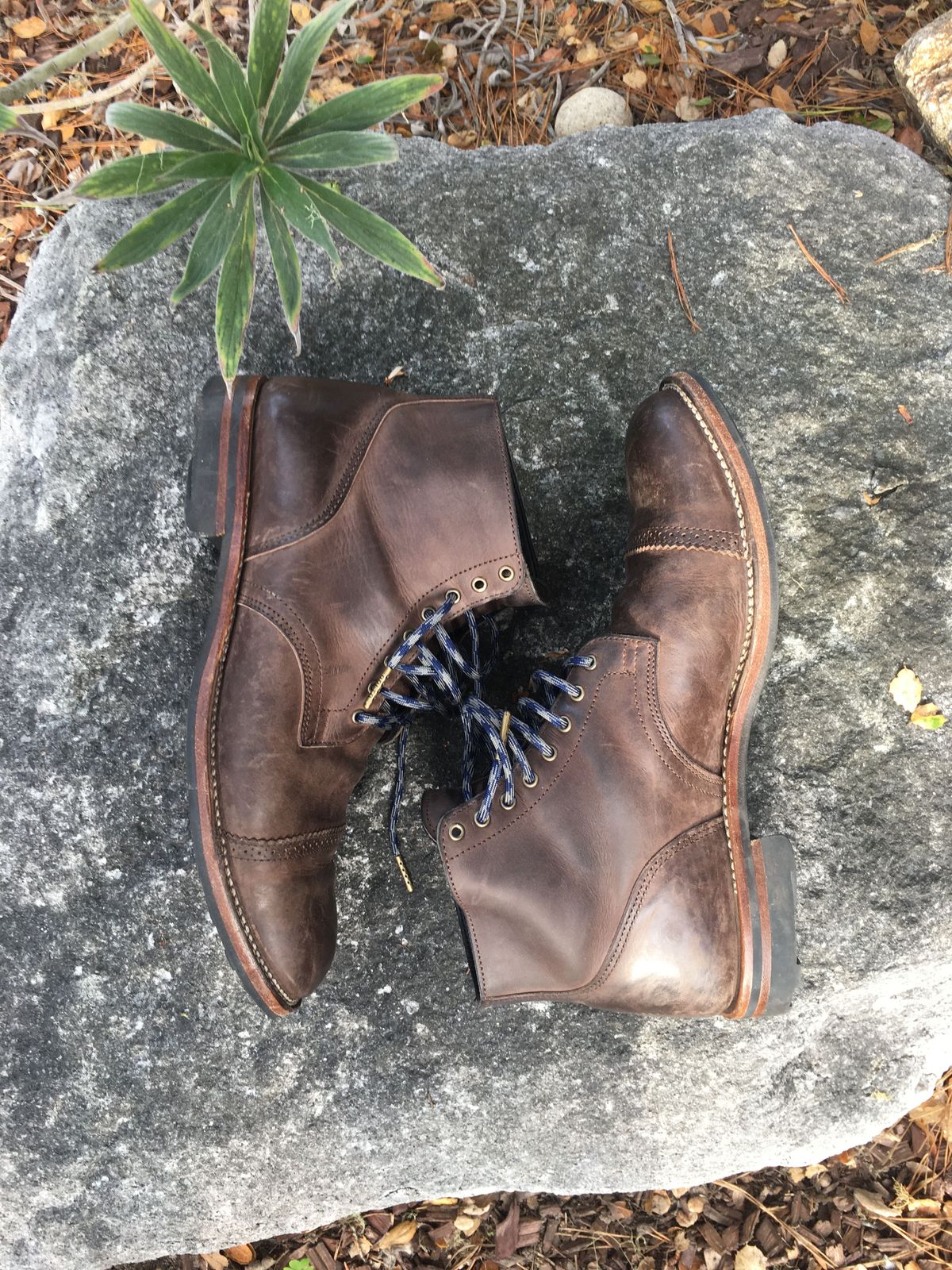 Photo by patinathunderdome on November 5, 2021 of the Viberg Service Boot in Maryam 1071 Port Vitello Calf.