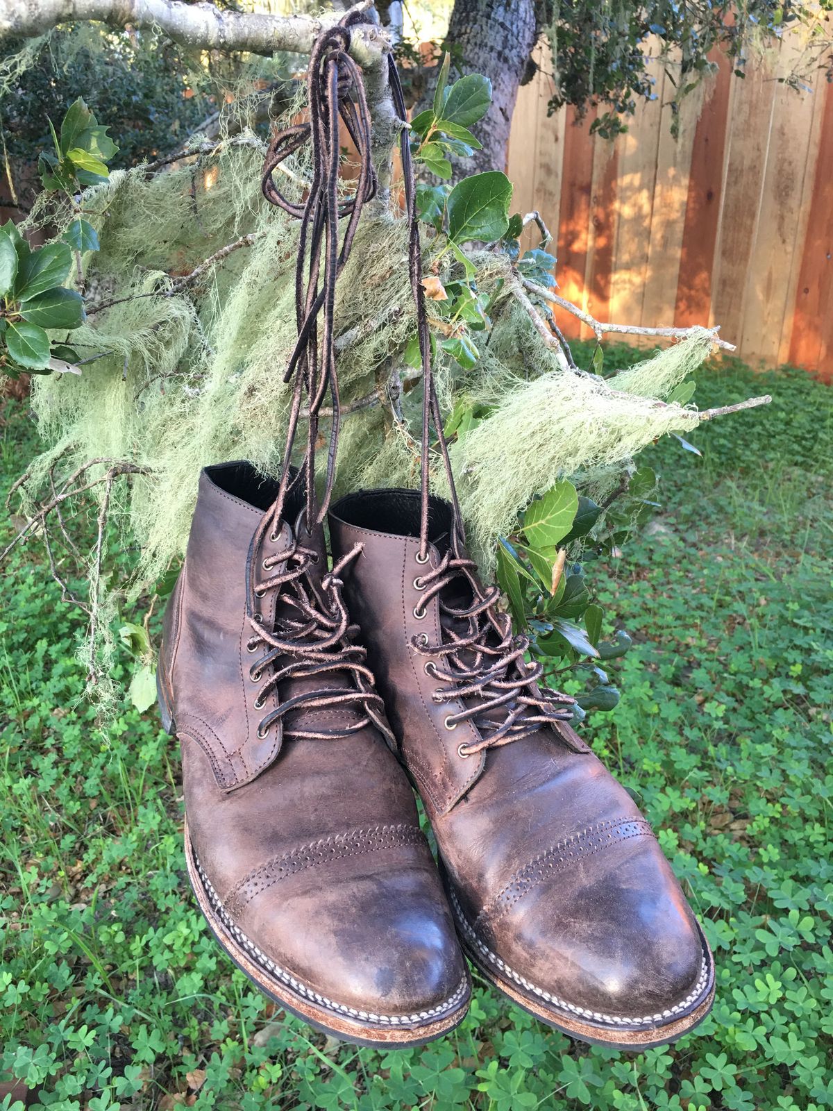 Photo by patinathunderdome on December 6, 2021 of the Viberg Service Boot in Maryam 1071 Port Vitello Calf.