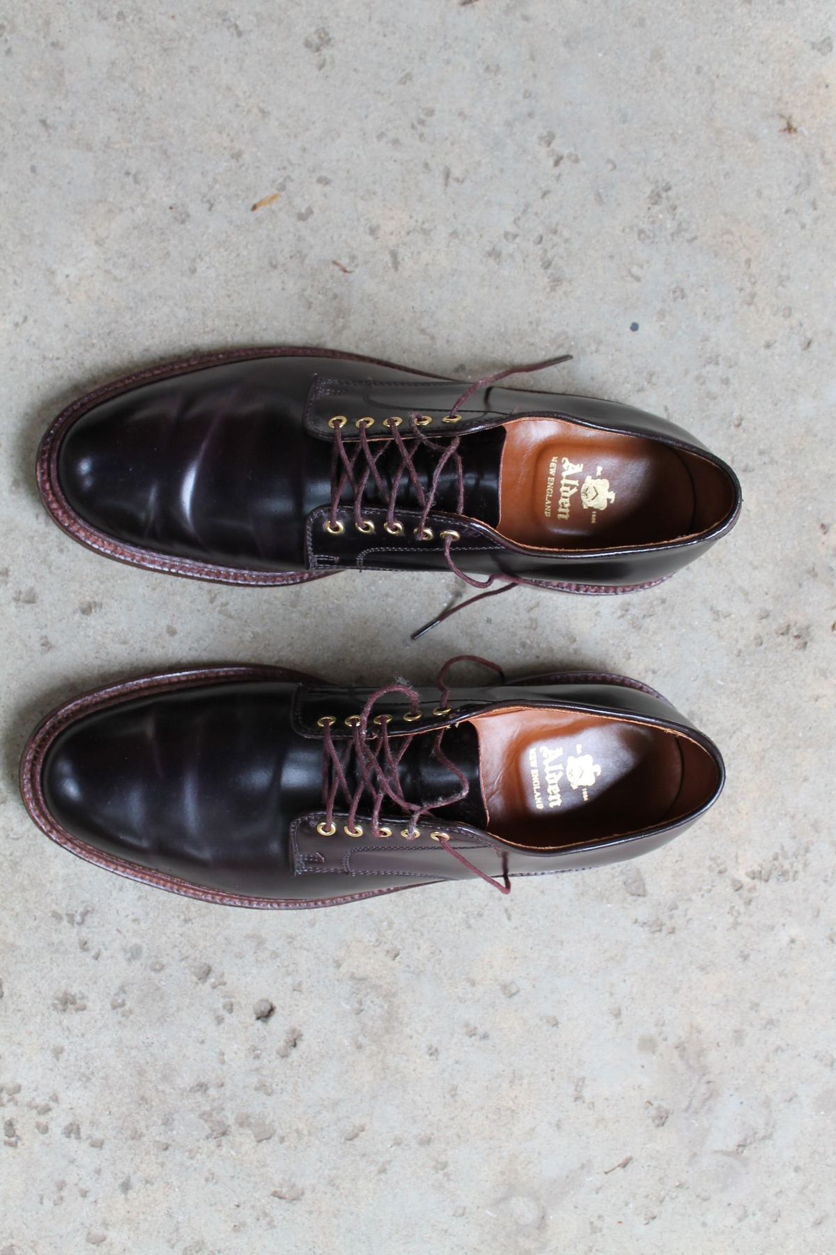 Photo by patinathunderdome on November 1, 2021 of the Alden Dover in Horween Color 8 Shell Cordovan.