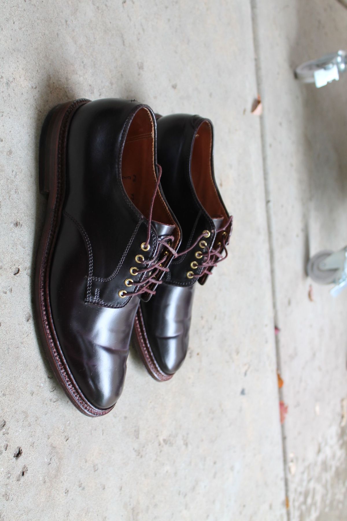 Photo by patinathunderdome on November 1, 2021 of the Alden Dover in Horween Color 8 Shell Cordovan.