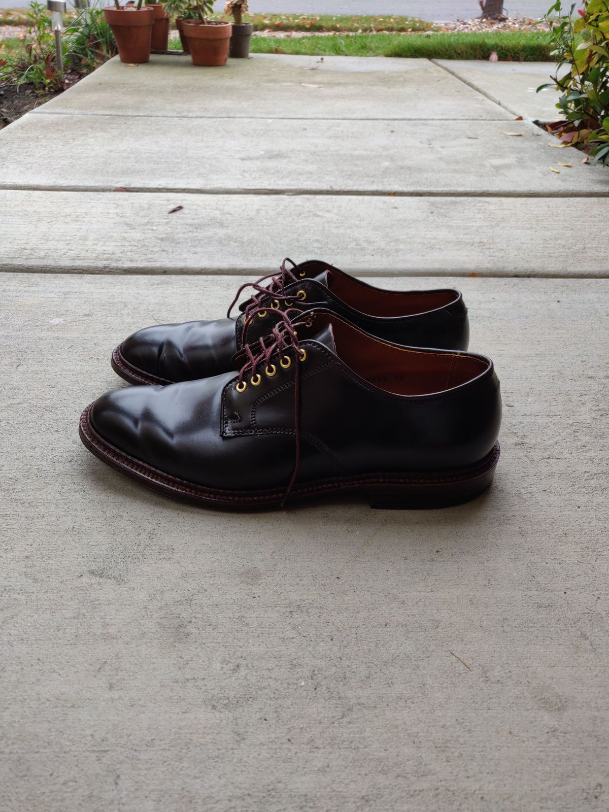 Photo by patinathunderdome on December 4, 2021 of the Alden Dover in Horween Color 8 Shell Cordovan.