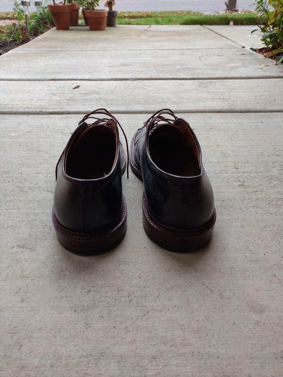 Photo by patinathunderdome on December 4, 2021 of the Alden Dover in Horween Color 8 Shell Cordovan.