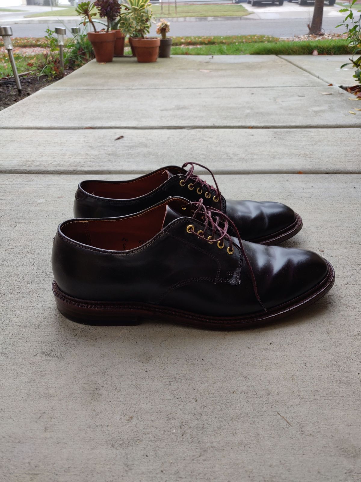 Photo by patinathunderdome on December 4, 2021 of the Alden Dover in Horween Color 8 Shell Cordovan.