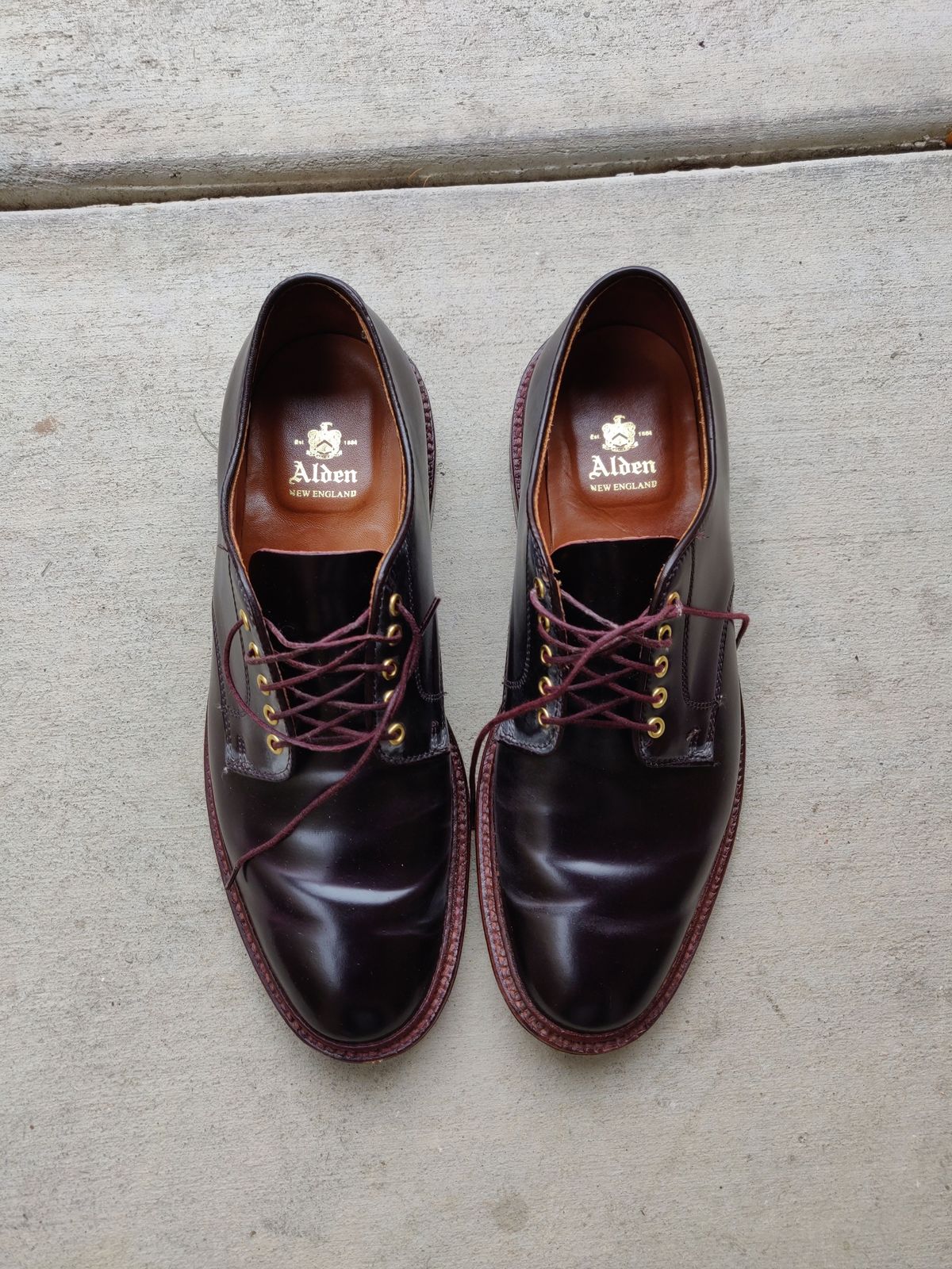 Photo by patinathunderdome on December 4, 2021 of the Alden Dover in Horween Color 8 Shell Cordovan.