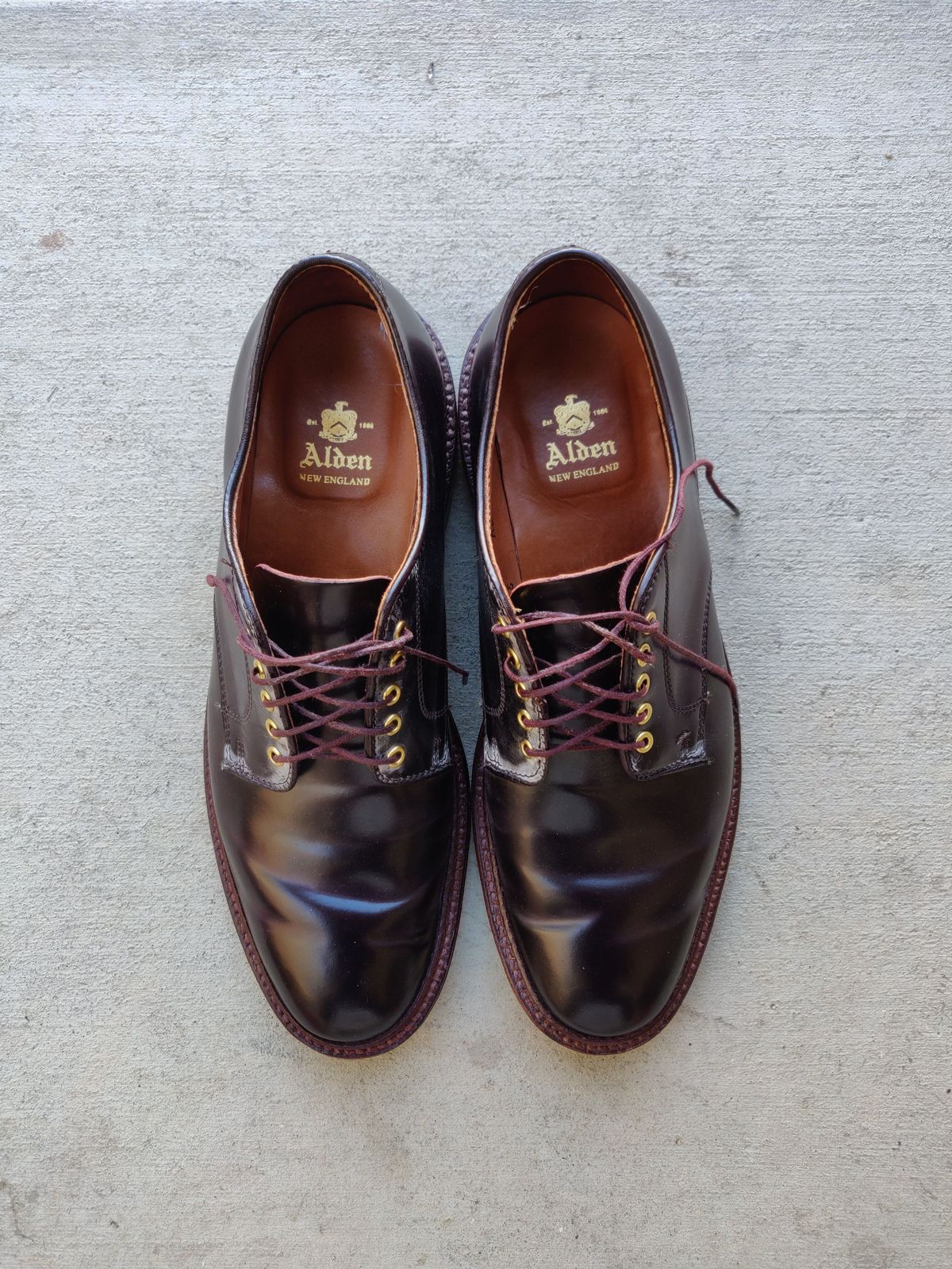 Photo by patinathunderdome on January 2, 2022 of the Alden Dover in Horween Color 8 Shell Cordovan.