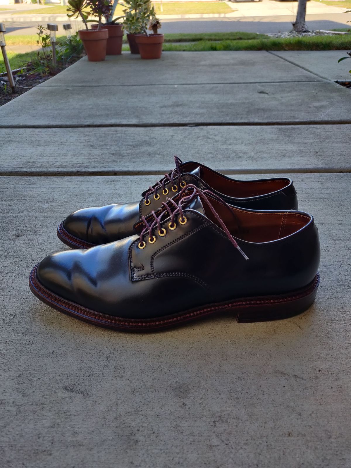 Photo by patinathunderdome on January 2, 2022 of the Alden Dover in Horween Color 8 Shell Cordovan.