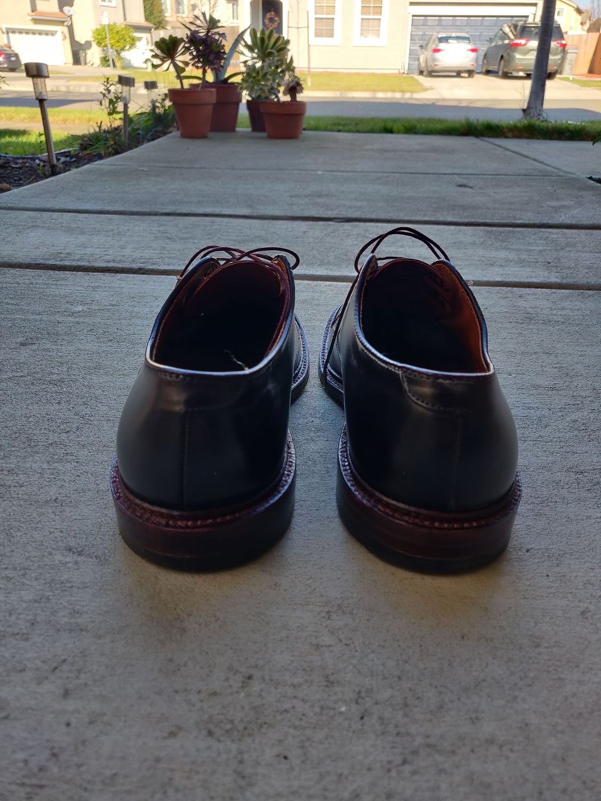 Photo by patinathunderdome on January 2, 2022 of the Alden Dover in Horween Color 8 Shell Cordovan.