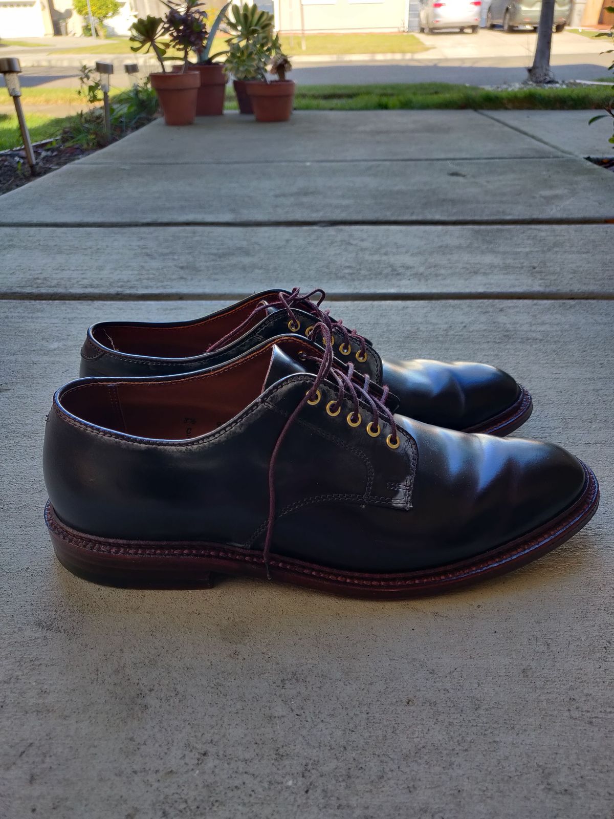 Photo by patinathunderdome on January 2, 2022 of the Alden Dover in Horween Color 8 Shell Cordovan.