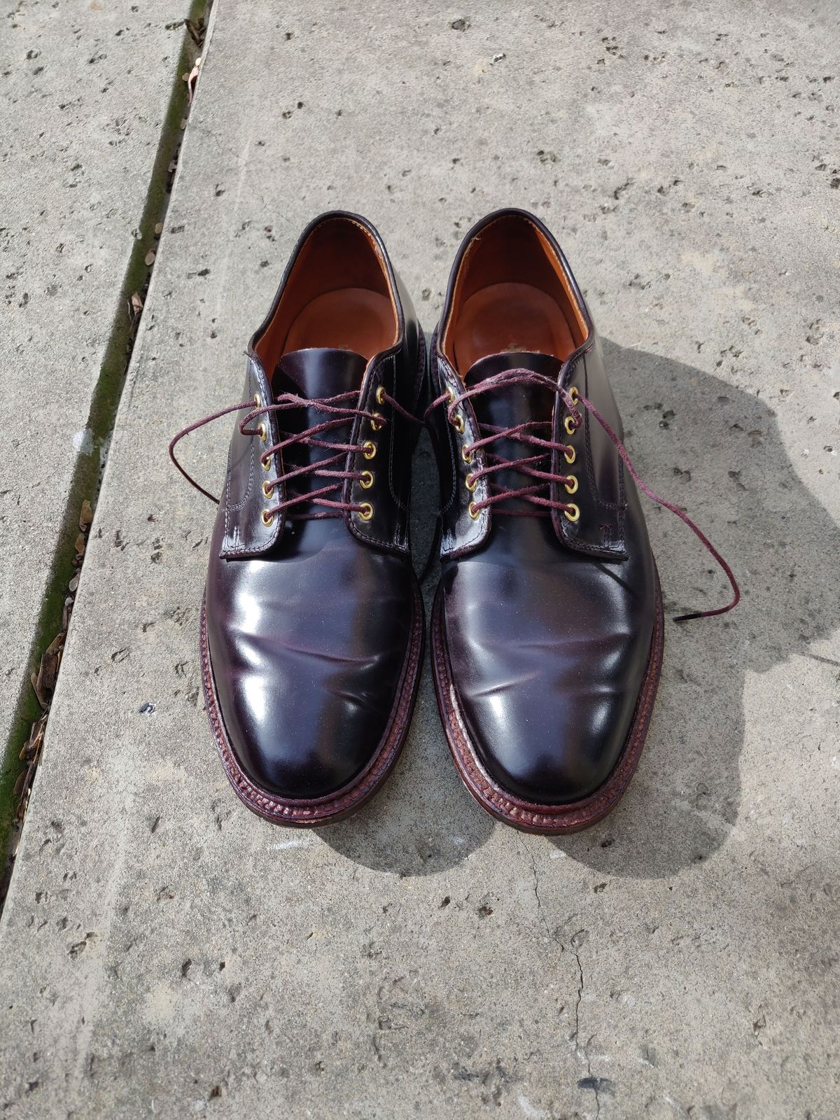 Photo by patinathunderdome on February 4, 2022 of the Alden Dover in Horween Color 8 Shell Cordovan.