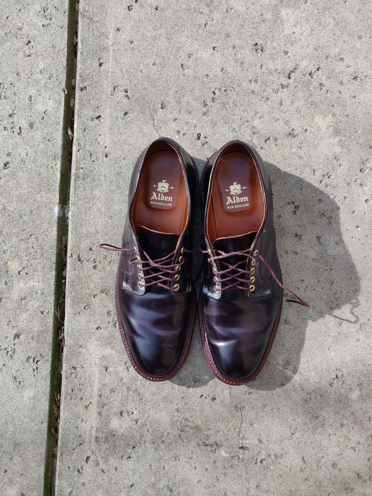 Photo by patinathunderdome on February 4, 2022 of the Alden Dover in Horween Color 8 Shell Cordovan.
