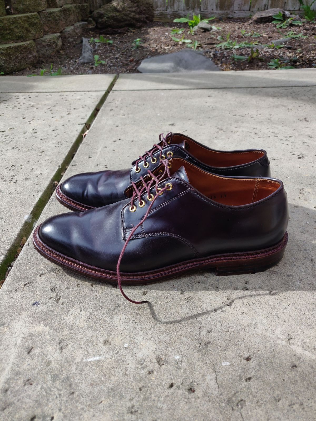 Photo by patinathunderdome on February 4, 2022 of the Alden Dover in Horween Color 8 Shell Cordovan.