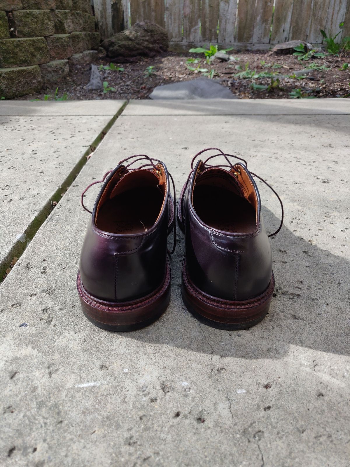 Photo by patinathunderdome on February 4, 2022 of the Alden Dover in Horween Color 8 Shell Cordovan.